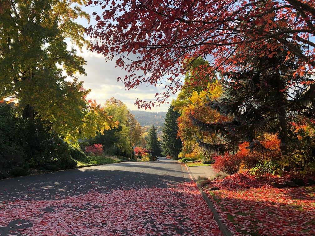 Eugene